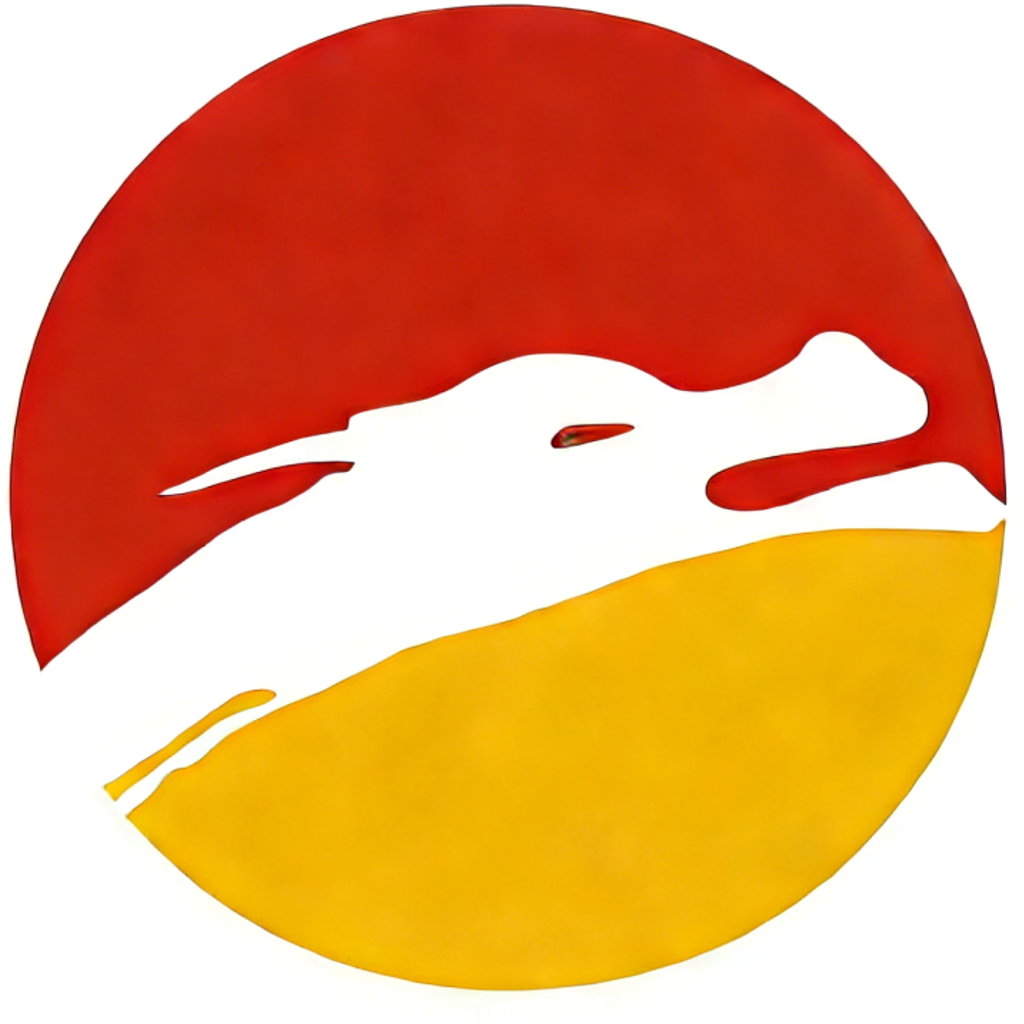 河南龙翔标志